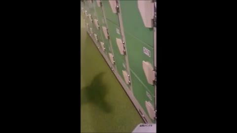         プールロッカーとバイト階段着替えセット
    