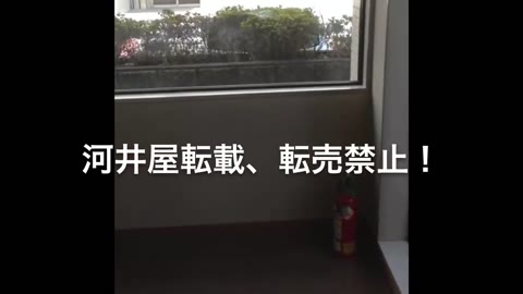         オリジナルトイレ18
    