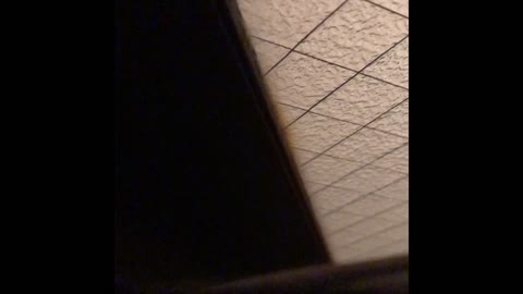         民家の湯女Vol.11
    