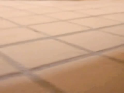         〇Ｃ　和式トイレ　盗撮
    