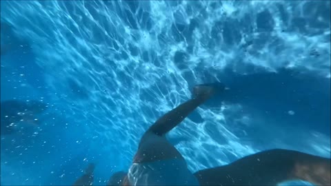         削除予定【プール痴漢】薄い生地でスケスケのお尻をみんなに見られていた美女
    