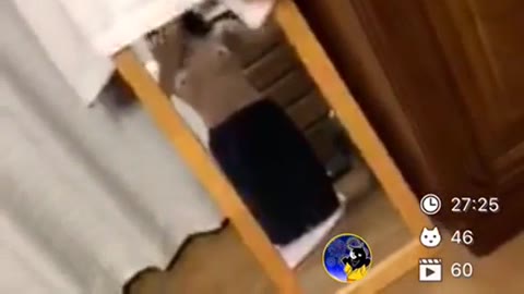         ぷっくりおっぱいCちゃん
    