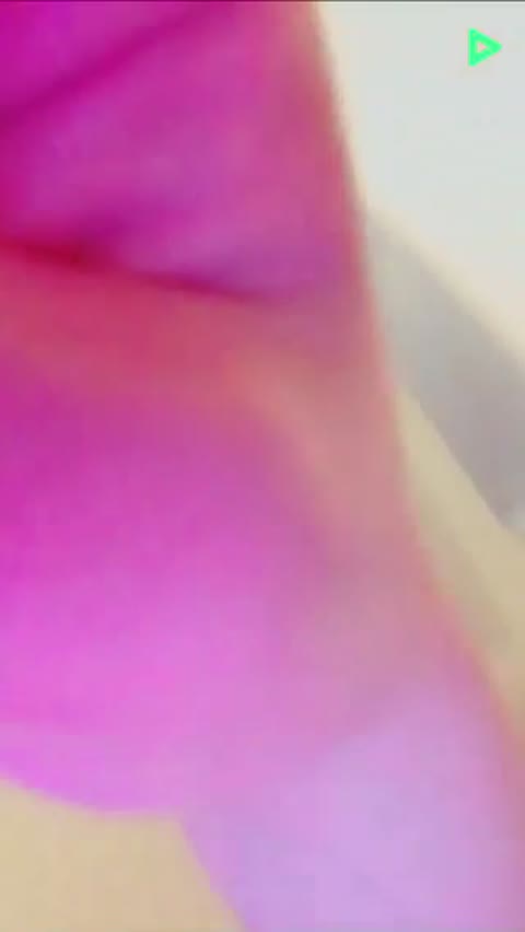         エースのお風呂
    