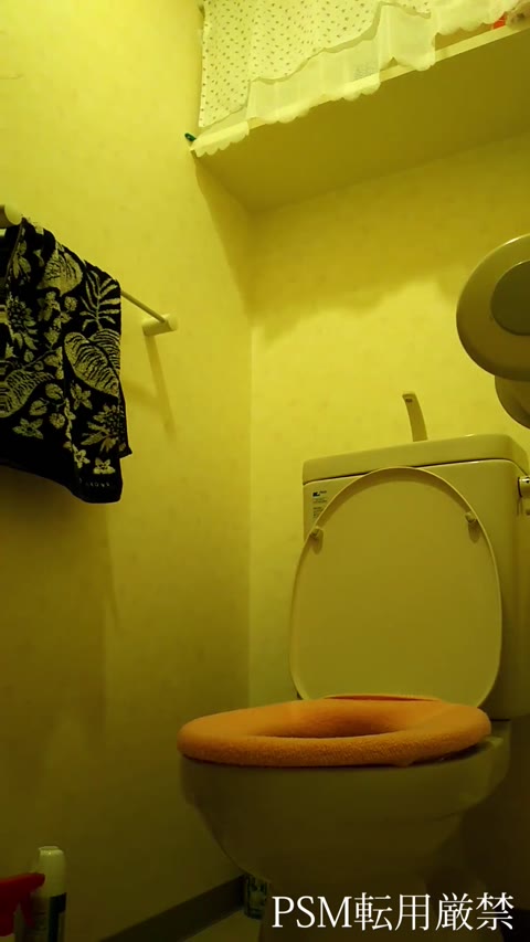         陰毛！！丸見えトイレ盗撮！！オリシー交換の現場！！
    