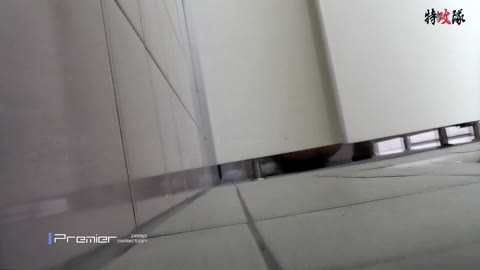         予告　今年唯一の規格外　コジハル超え！年末特別品【幻 ～令和の幕開け～ Vol.008】
    