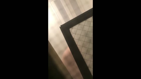         窓枠の隙間からのぞく巨乳美女の裸
    