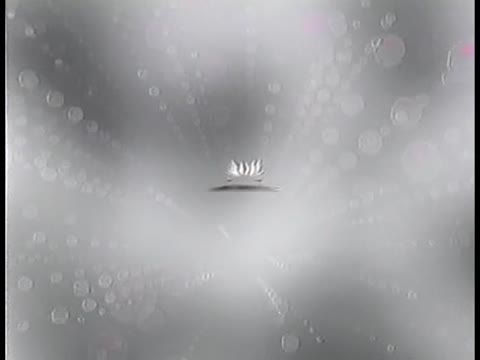         （9月24日配信停止）特別秘蔵版もぎたて！プールぷる更衣室 Ⅲ
    