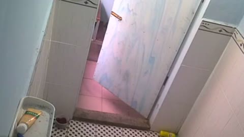         おフロ場をのぞいてみたら
    