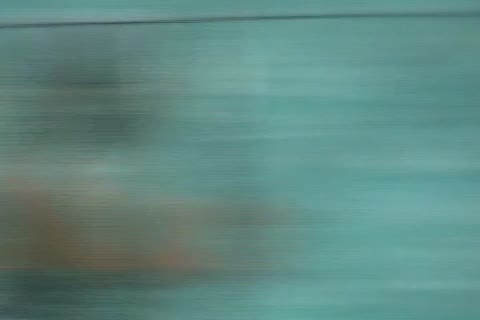         〇Ｃ競泳ジュニア育成場
    