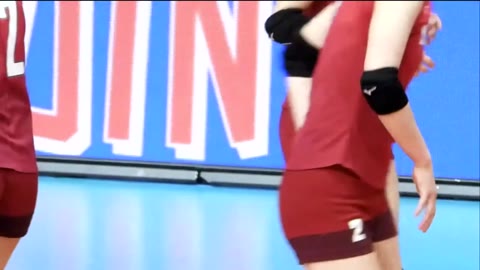         期間限定 マイスター147
    