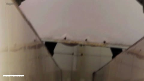         kt-joker okn024 怪盗ジョーカー 下からノゾム vol.024 出演女性シリーズ最多!!
    