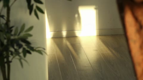         愛らしいツインテ美少女。恥じらいを見せながらのセクシーイメージ
    