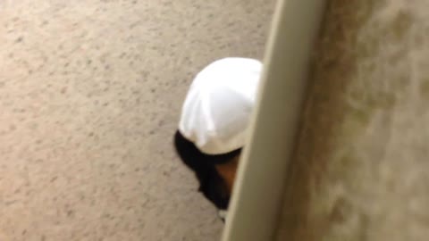         盗撮❤スポーツ娘の和式汚トイレ２
    