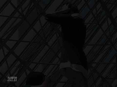         タートルさんの無警戒な人々 Vol.12
    