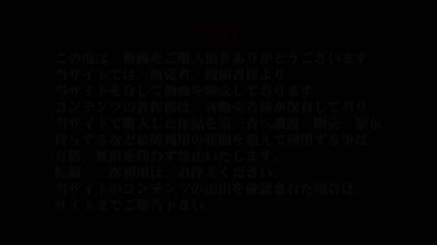         ハイビジョン盗撮！ショップ店員千人斬り！パンチラ編　vol.01
    