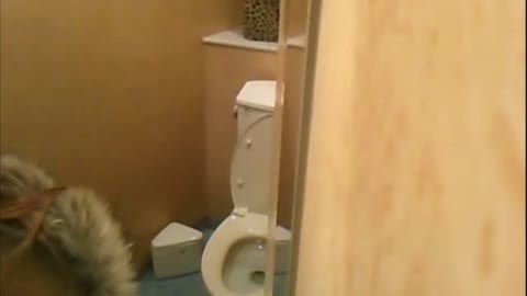         品川からお届け致します！GALS厠覗き！　Vol.03
    