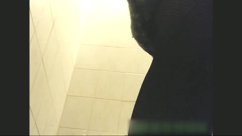         ティーンガールのトイレ覗き!! vol.05
    