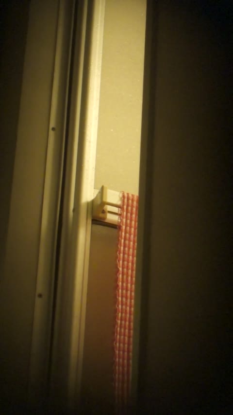         Iカップの爆乳美女、一筋の小川が流れるかのようなワレメ。気配を感じ、ワレメを隠しながら警戒
    