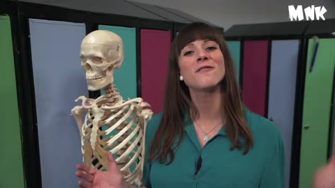         海外性教育ビデオ
    