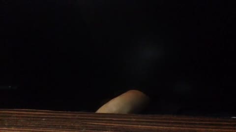         ネカフェハメ撮り
    