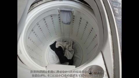         流出 １●才 ３１
    