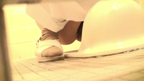         HD高画質トイレ潜入撮 極厠 Vol.01 VIP動画
    