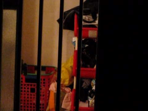         ムンクさんの突撃！美女ハンター Cace.03 VIP動画
    