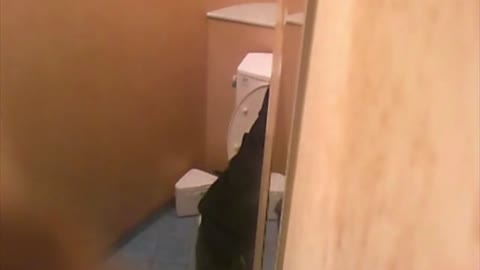         品川からお届け致します！GALS厠覗き！　Vol.02
    