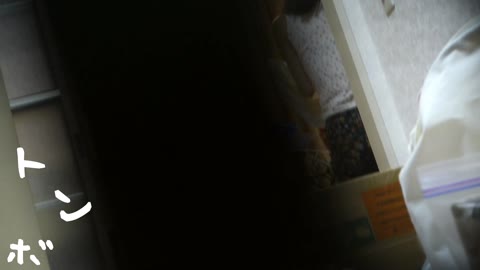         【美女達の私生活に潜入】リアル盗撮　現役女子大生の私生活①
    