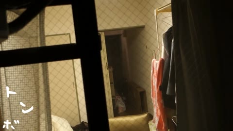         【美女達の私生活に潜入】リアル盗撮　S級美女女子大生の私生活1
    