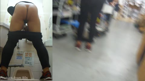         HD Japanese Toilet Style.276
    