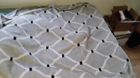         寝ているJ○の綺麗なま○こにイタズラ(笑)
    