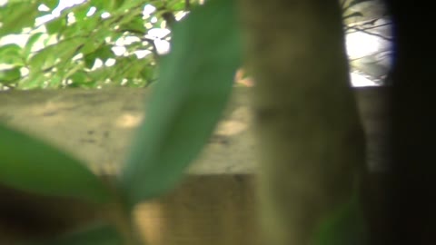         Aquaな露天風呂Vol.307-310
    