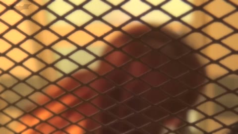         【華の女子寮ノゾキ】＊華の女子寮ノゾキ＊vol.01 ＪＤデビューした音楽専攻のコ
    