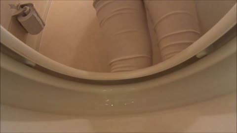         【[洗面所]実は目的がコレでした！】vol.03[洗面所]実はコレが目的でした。-Ｗ黒髪女子の聖水観察
    