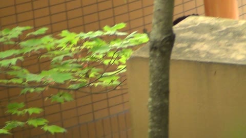         Aquaな露天風呂Vol.251-256
    