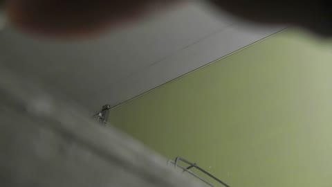         【美しき個室な世界】洗面所特攻隊vol.015
    