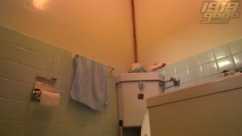         オヤジ発！洋式便所盗撮Vol.12
    