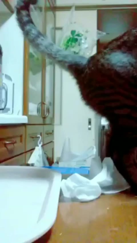         全○にラン○セル☆サービス満点スーパーSS！！他５作品+
    