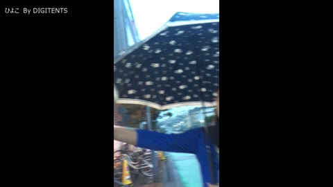         digi-tents 15102316peep
    