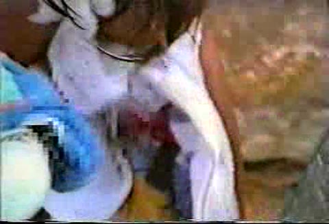         夏色天使オムニバス-3
    