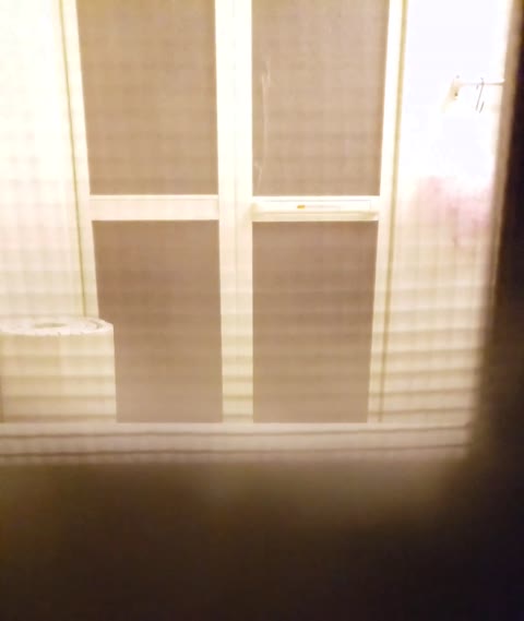         【民家】生意気少女母親と入浴（二年後）
    