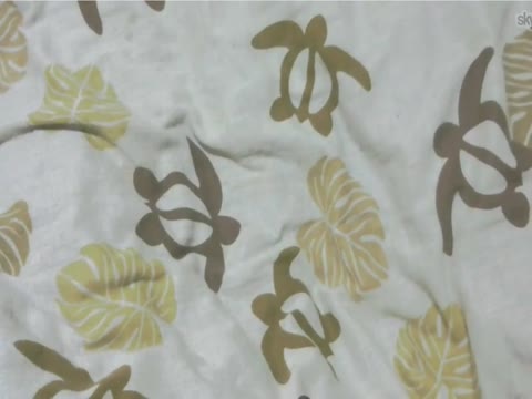         配信者のソフトひとりＨ
    