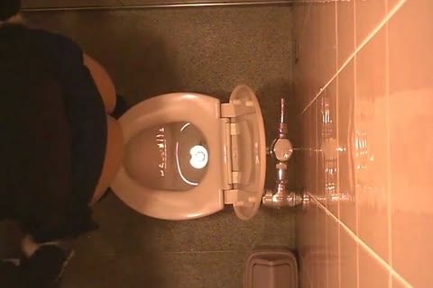         潜入！女子トイレ盗撮！Ⅱ
    