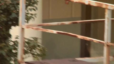         Peeping-Eyes Open Air Bath TO-4410_99
    