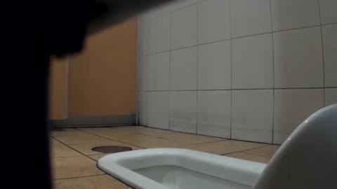         無修正 若い女良の痴態洗面所
    