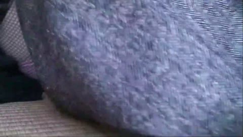         【素人】本物エロス★熟年カップルの生々しいお忍び不倫旅行原稿
    