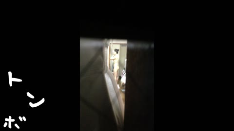         元ジュリマリのYUKI似 某歌手丸秘ヌード②
    