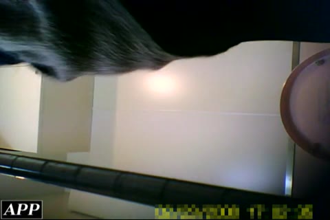         掘り起こし我慢トイレ⑨
    