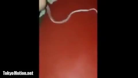         ドMちゃんをカラオケで強引に喉の奥までイマラチオ
    